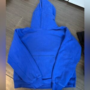 Aritzia Perfect Fit Blue Hoodie